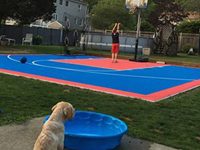 Backyard basketball gone to the dogs in Canton, MA. We do Massachusetts backyard basketball courts, but Rhode Island's got game too, in towns like Warren and Cumberland.