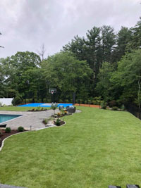Blue and gray residential basketball court in Easton, MA, shown in distance view with bulk of picture in foreground showing off yard freshly landscaped by Evergreen.