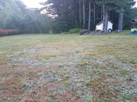 Expanse of lawn that will become a basketball court featuring Celtics logo, with fire pit, patio, and light for night play, in Londonderry, NH.
