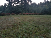 Expanse of lawn that will be the site of a basketball court featuring Celtics logo, with fire pit, patio, and light for night play, in Londonderry, NH.