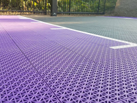 Detail of surface of small purple and black basketball court in Stoneham, MA.