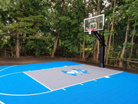 Bedford, MA backyard basketball court in light blue and titanium, with a custom pirate log.