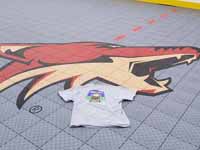 Arizona Coyotes logo on freshly installed inline hockey rink at Grand Canyon University in Phoenix, AZ. Also showing off our Basketball Courts MA shirt.